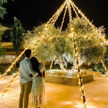 Ho Ciudad De By Olivencia